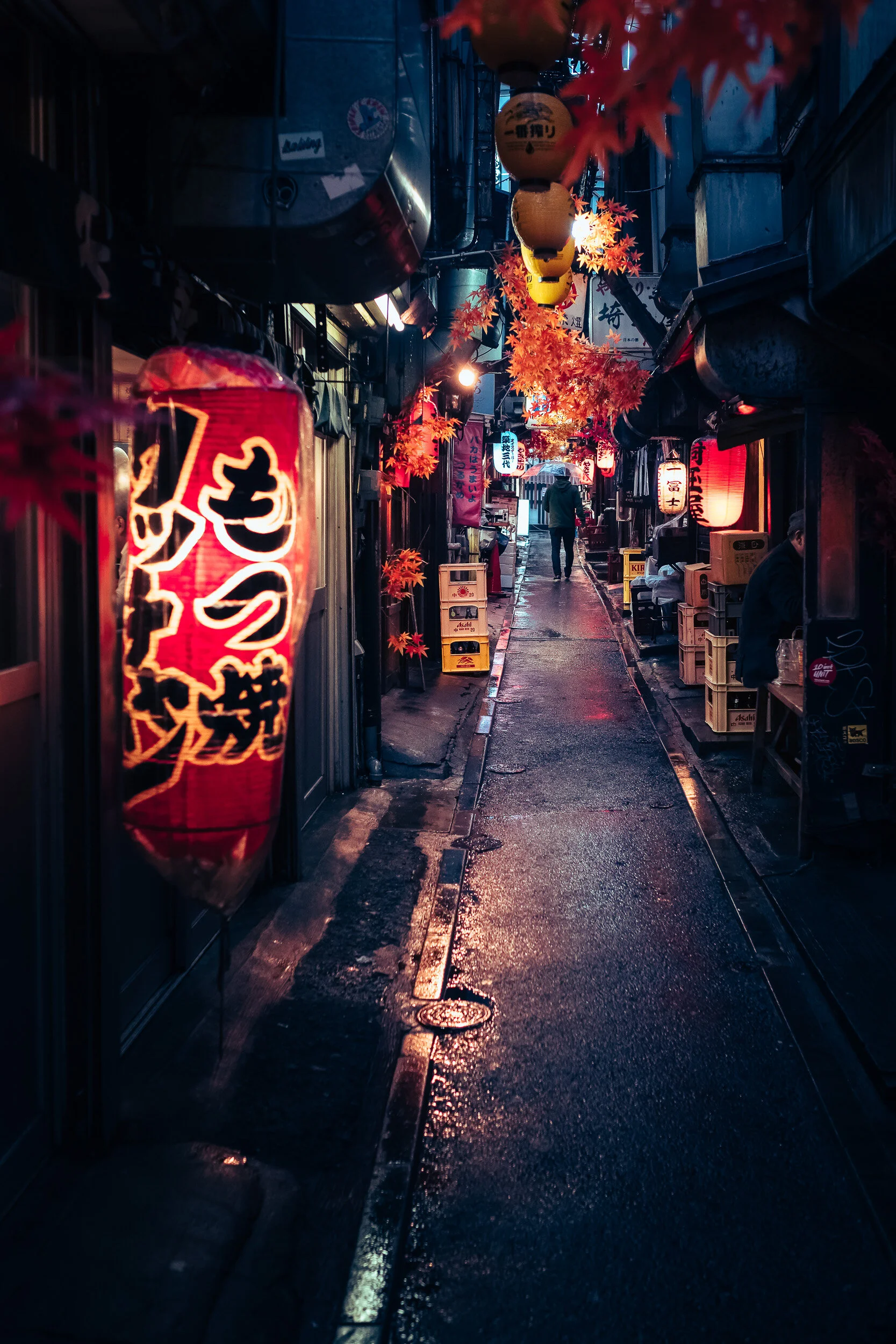 Japan S Alleys Bways Fr Travel And Street Photography