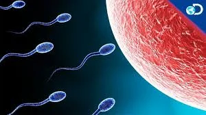 The Number One Fertility Problem