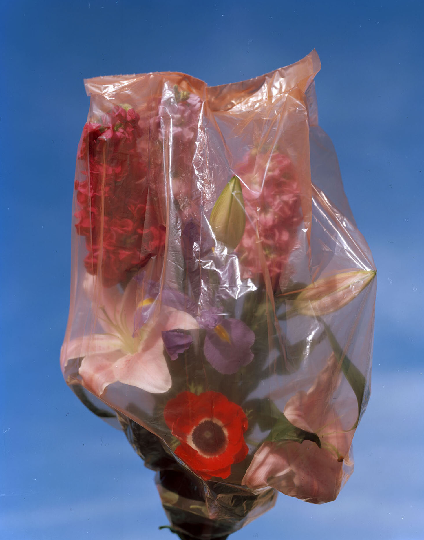 Bouquet in Plastic