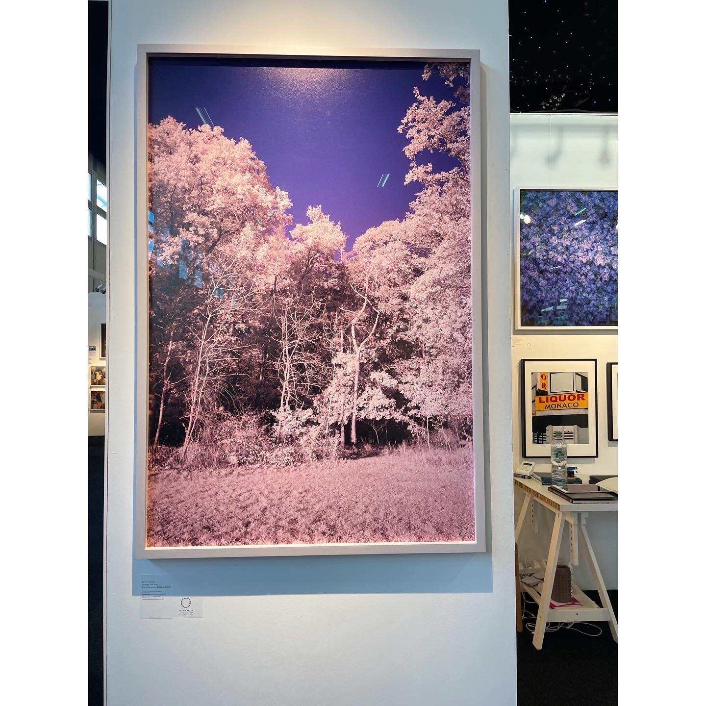 305EBFF5-D17B-4AE7-B407-4049D4E96ED2.JPG