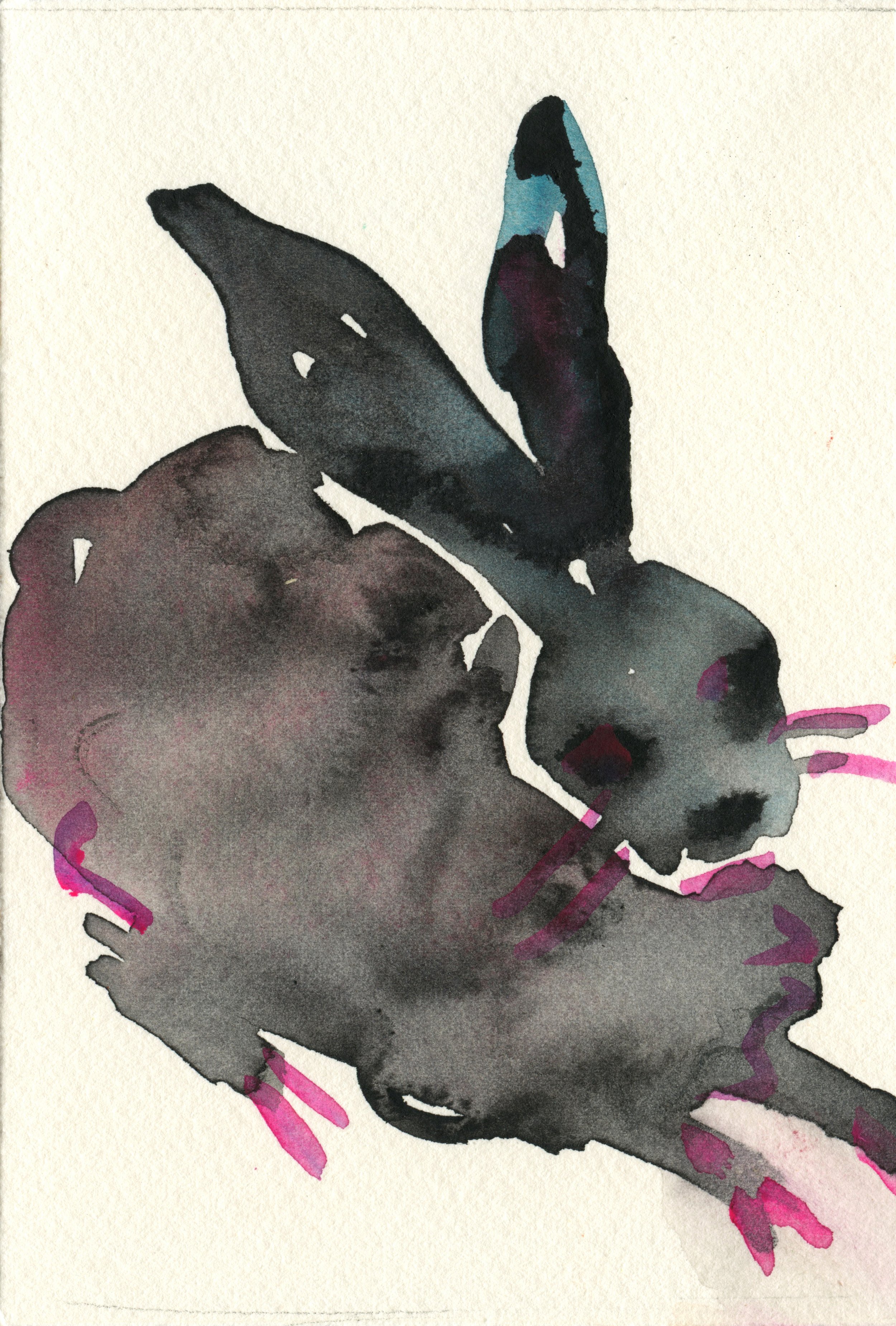 41. Kim McCarty - Rabbit .jpg