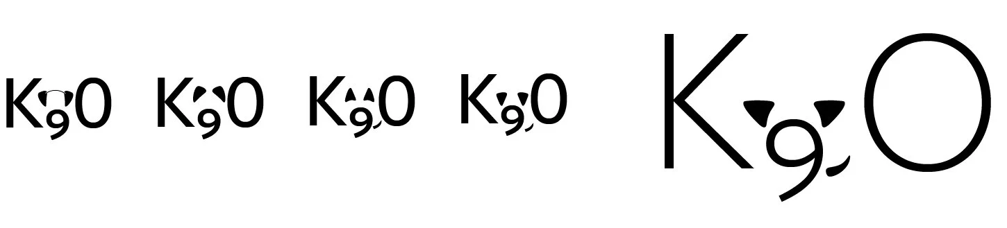 LOGO DEVELOPMENT 2.jpg
