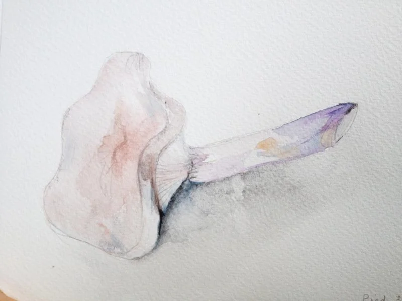 botanical_studies4 (2).jpg