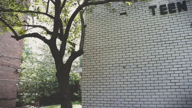 Stories Of Renewal- Andrew Miller (Copy)