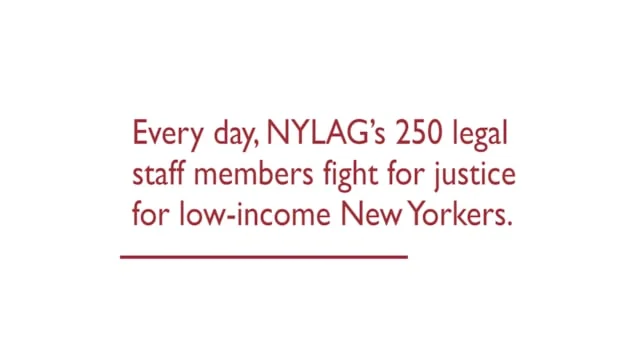 NYLAG Year In Review (Copy)