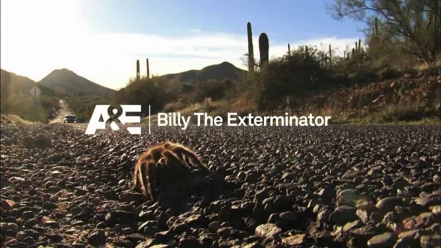 A&E Reel 2012 (Copy)