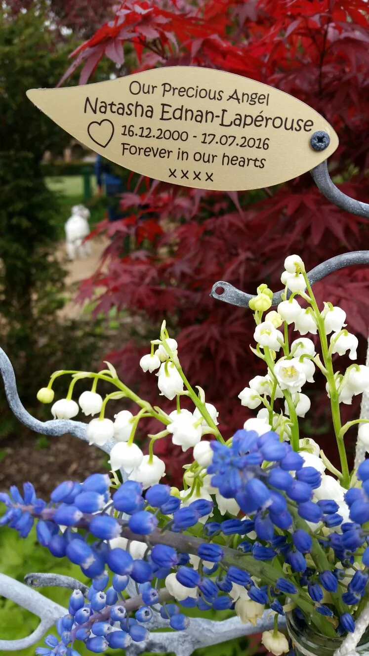 Welcome To The Natasha Allergy Research Foundation