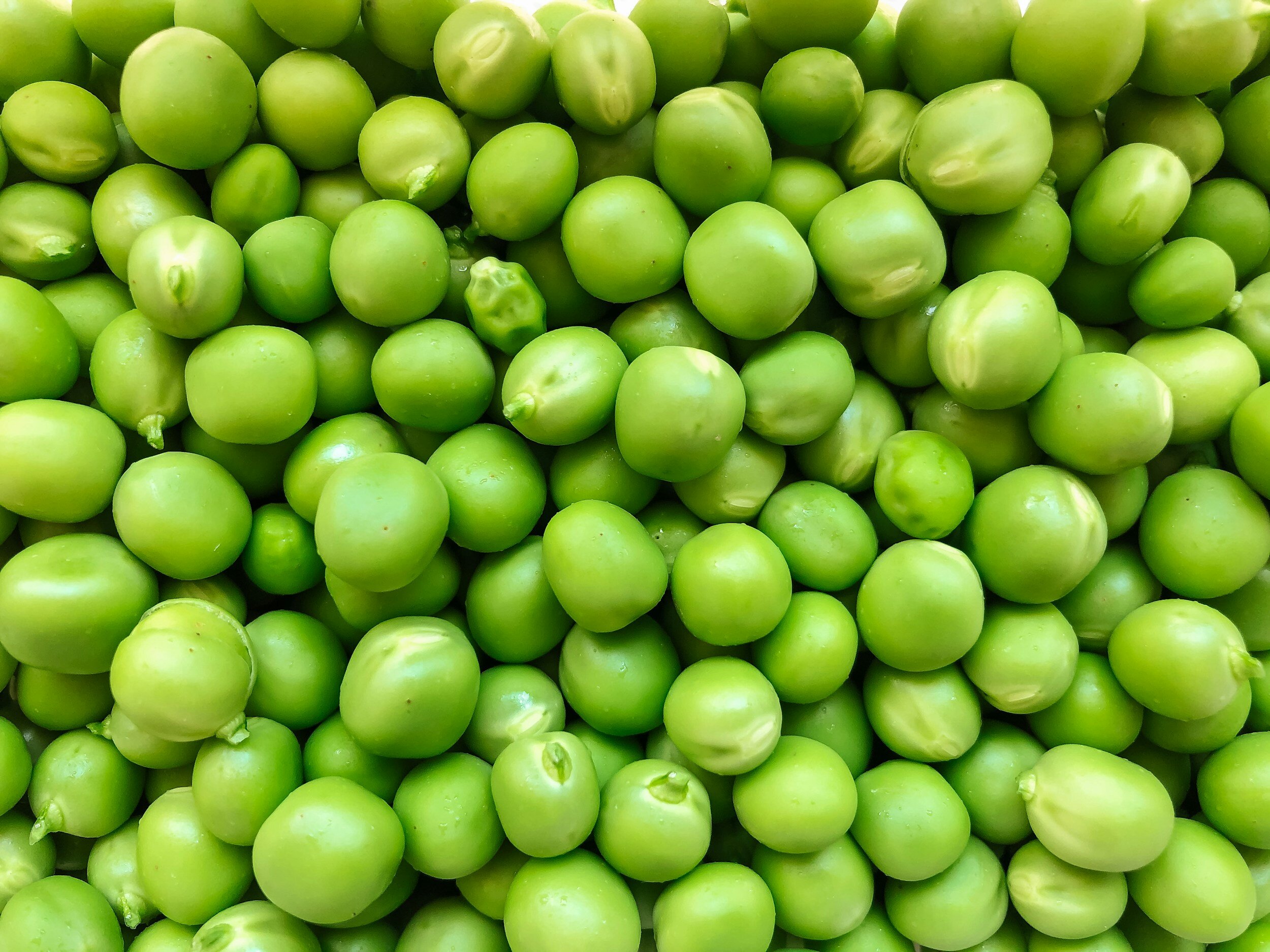 FOOD navigator.com, 16th March 2020 - Pea Protein Trend Sparks Allergy Warning