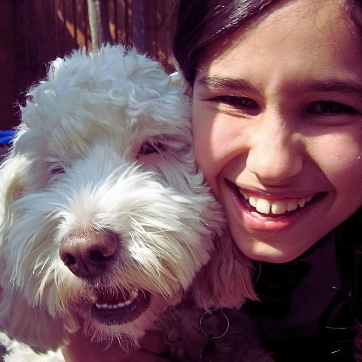 In loving memory of our beautiful boy, Buddy 🐾

With heavy hearts, we share that our beloved family dog, who brought us 16 years of unconditional love, comfort, and joy, has passed away.

Cherished deeply by us all and adored by Natasha and her brot