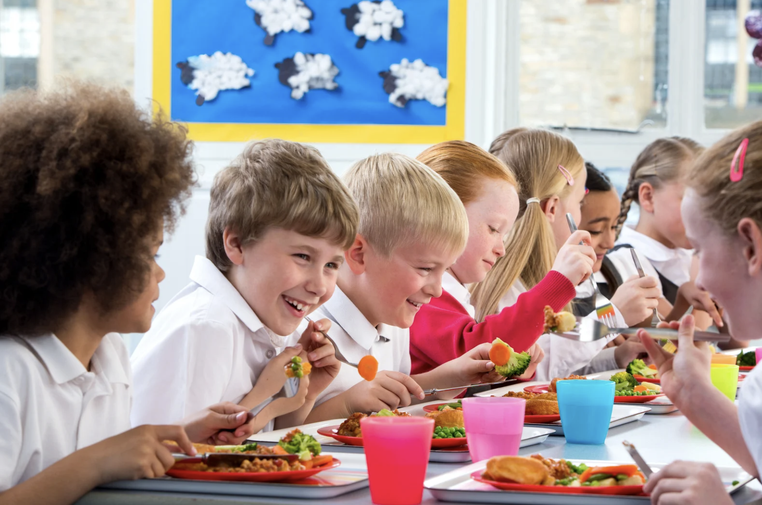 Mandatory Food Allergy Safety Guidance for Schools | What Schools Need to Know