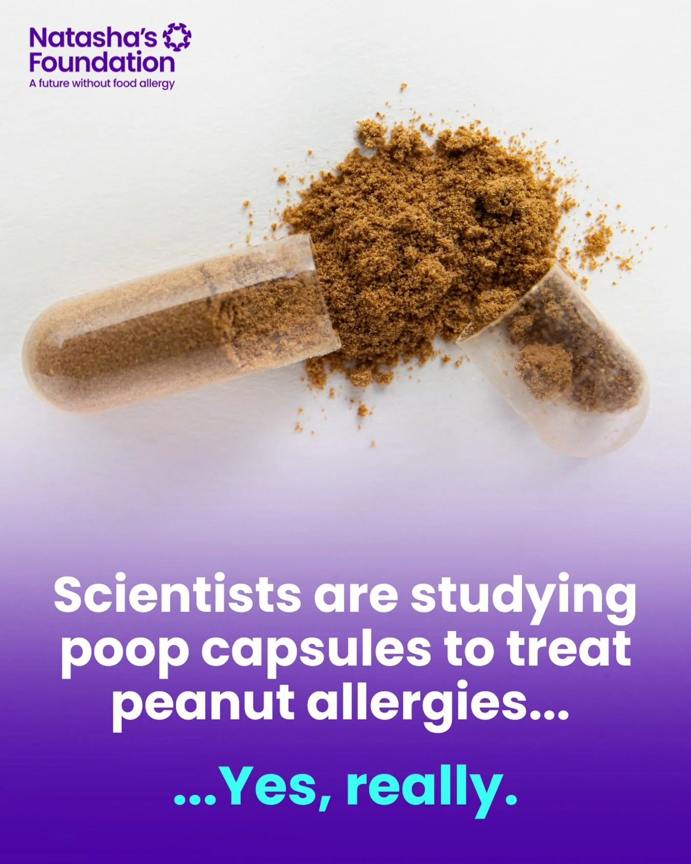 Could the bacteria in poop hold a clue to treating peanut allergy? 💩

It sounds strange, we agree, but scientists are investigating exactly this and the early results are fascinating.

In a recent US study, 15 adults with severe peanut allergy were 