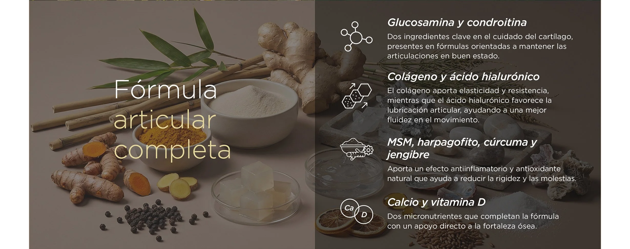 teresapons-15A.jpg
