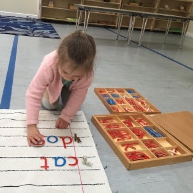 Why reading is different to writing

The moveable alphabets allows exploration of the shapes of the individual letters, supporting the development of the writing and reading skills of the child. They allow the child to create words nurturing their ea