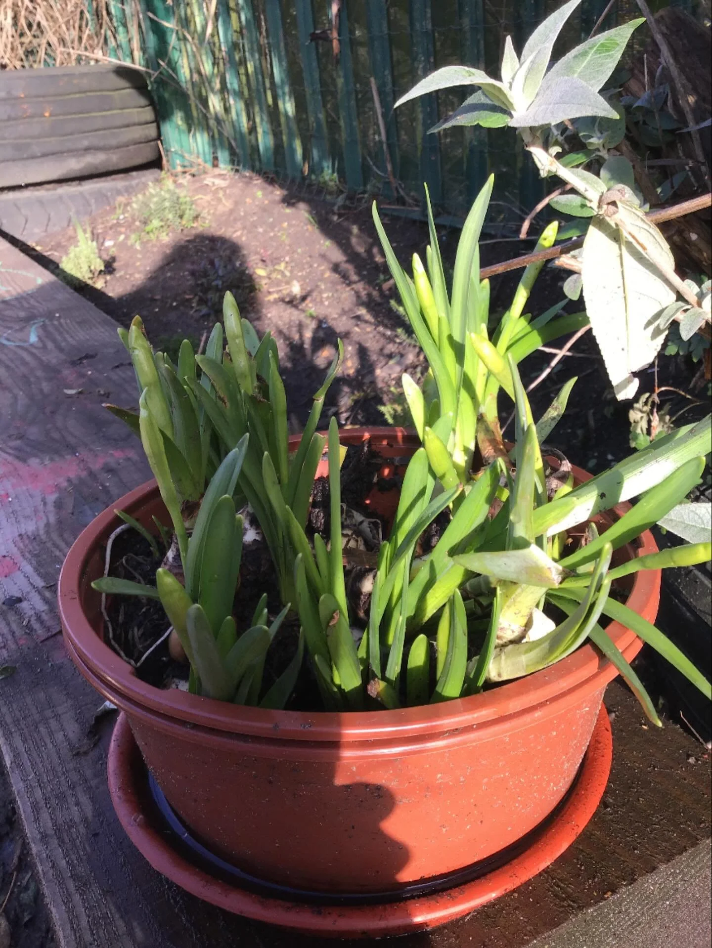 Warmer days and brighter evenings are ahead, we are looking forward to learning about lovely spring!☀️
.
#earlyyears #mums #harpenden #harpendenlife #harpendenbusiness #weareharpenden #stalbans #outoflondon #pedagogy #neuroscience #threeangers #toddl