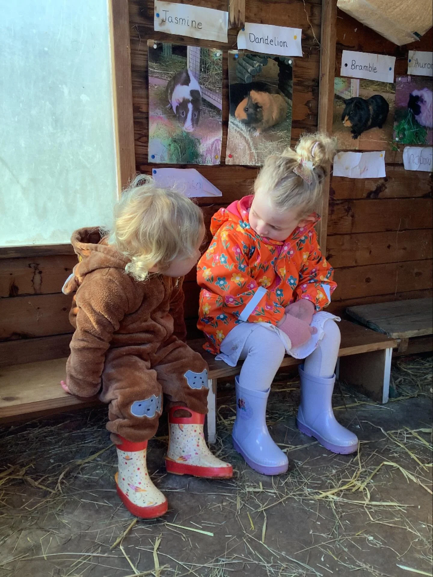 Making friends!
.
#earlyyears #mums #harpenden #harpendenlife #harpendenbusiness #weareharpenden #stalbans #outoflondon #pedagogy #neuroscience #threeangers #toddlerslife #toddlermumlife #finemotorskills #montessori #nursery #kindergarten #parents #t