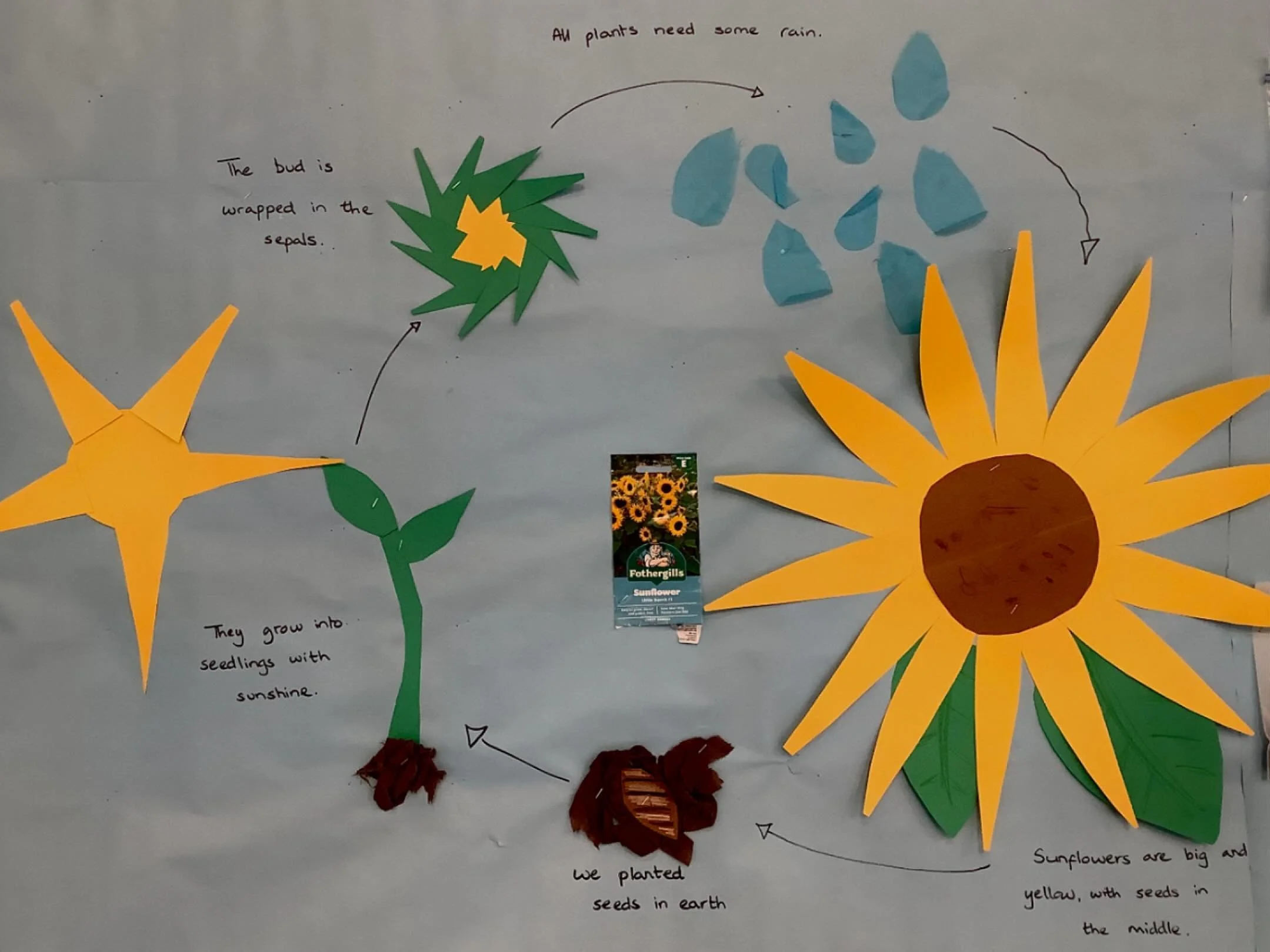 Learning how flowers grow.
.
#earlyyears #mums #harpenden #harpendenlife #harpendenbusiness #weareharpenden #stalbans #outoflondon #pedagogy #neuroscience #threeangers #toddlerslife #toddlermumlife #finemotorskills #montessori #nursery #kindergarten 