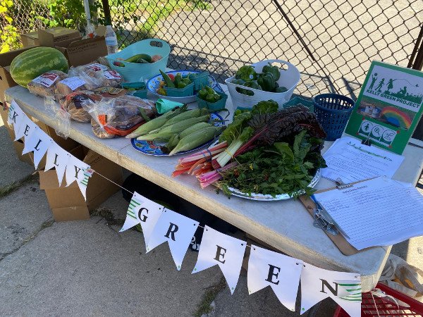 photo of table laden with fresh produce