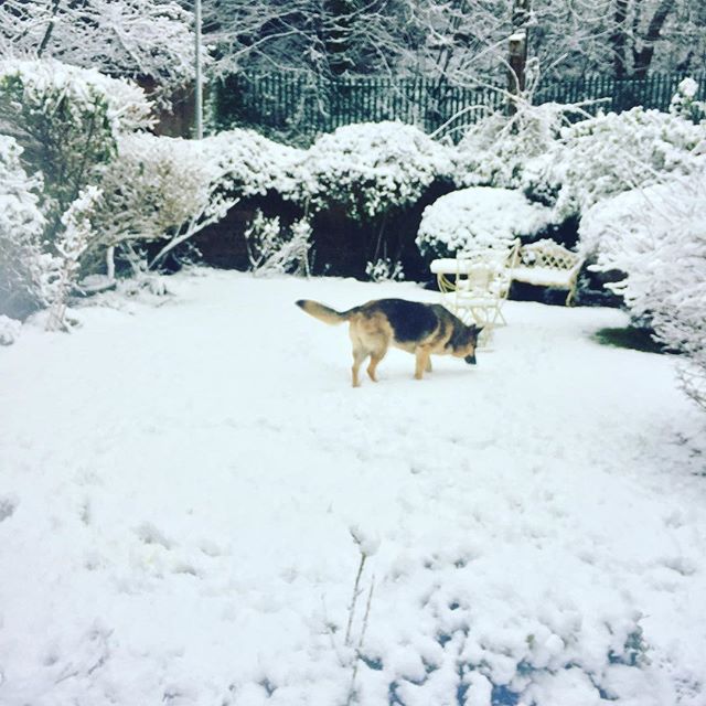 Snow#Lil
