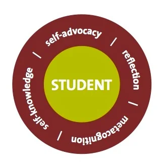 PCC+Triangle+Student.jpg