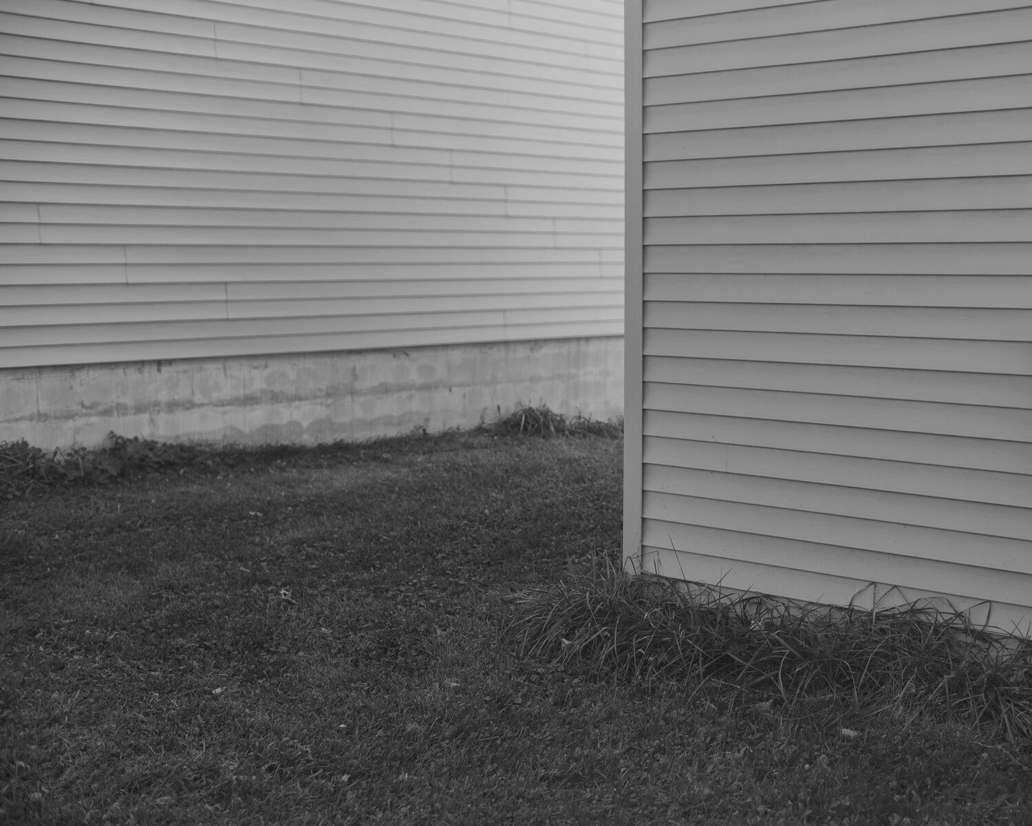 DSCF2395.jpg