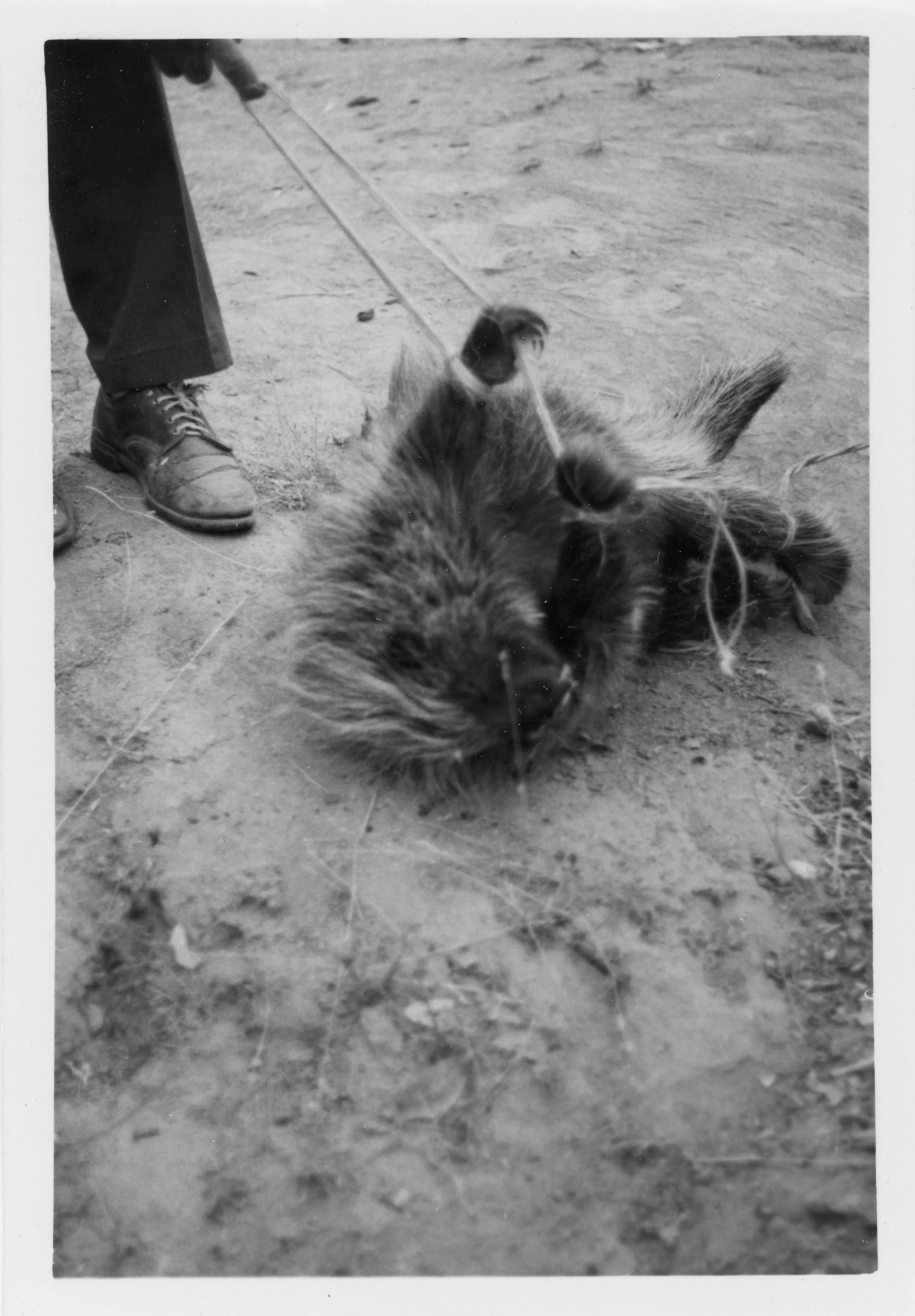Grandma Prints Scan11-11003.jpg