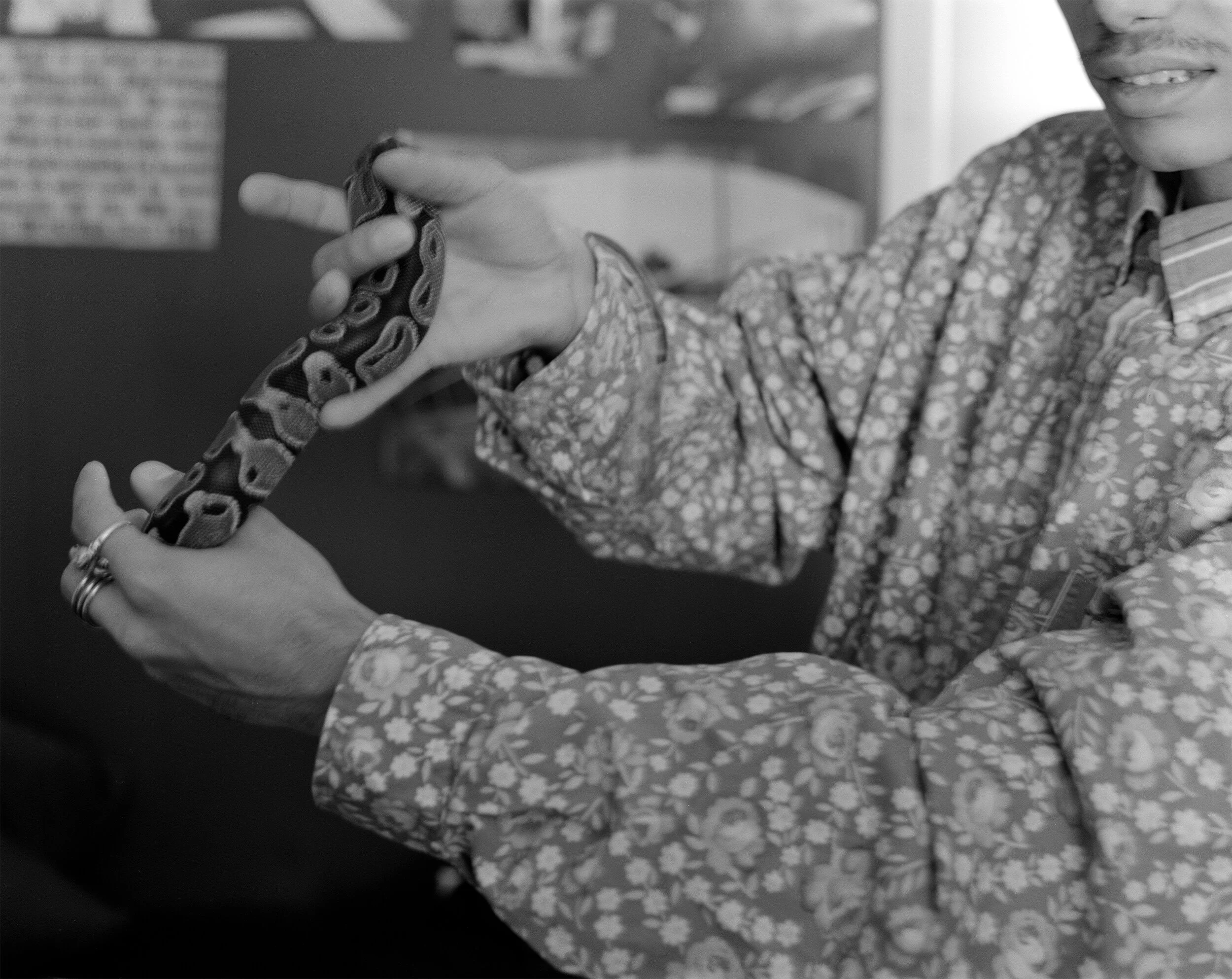 Anthony's Snake.jpg