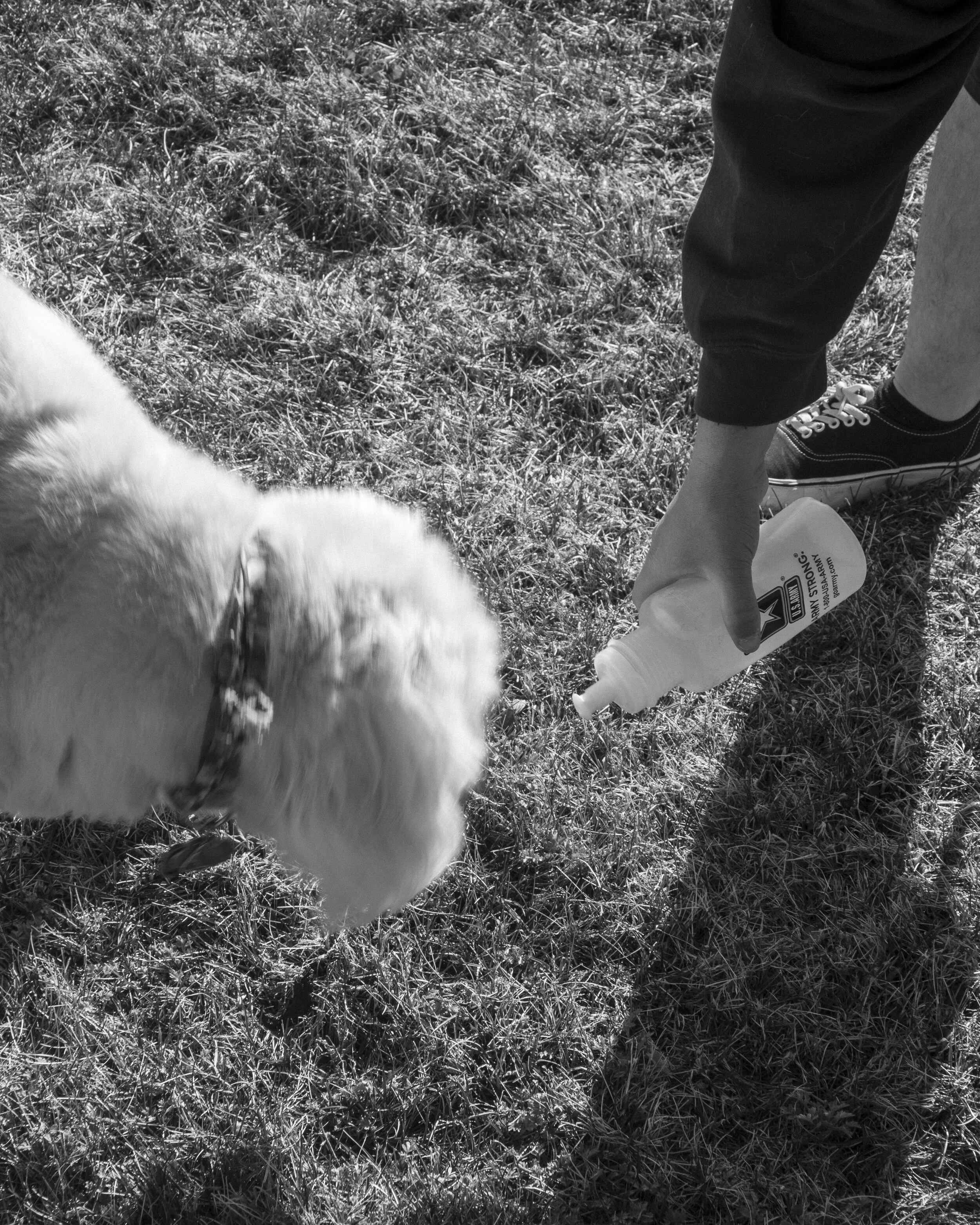 _MG_6777.jpg