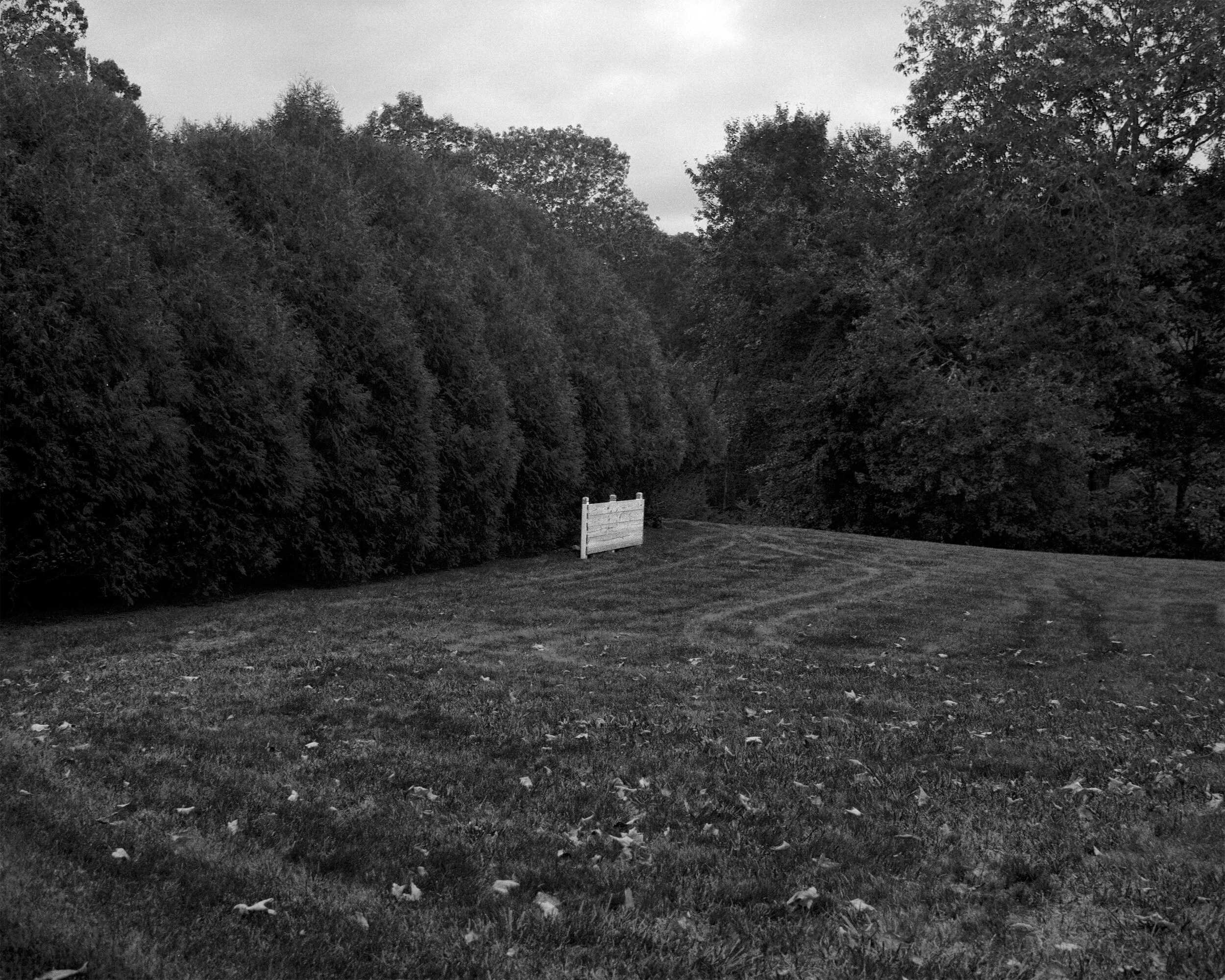 Palette B&W.jpg