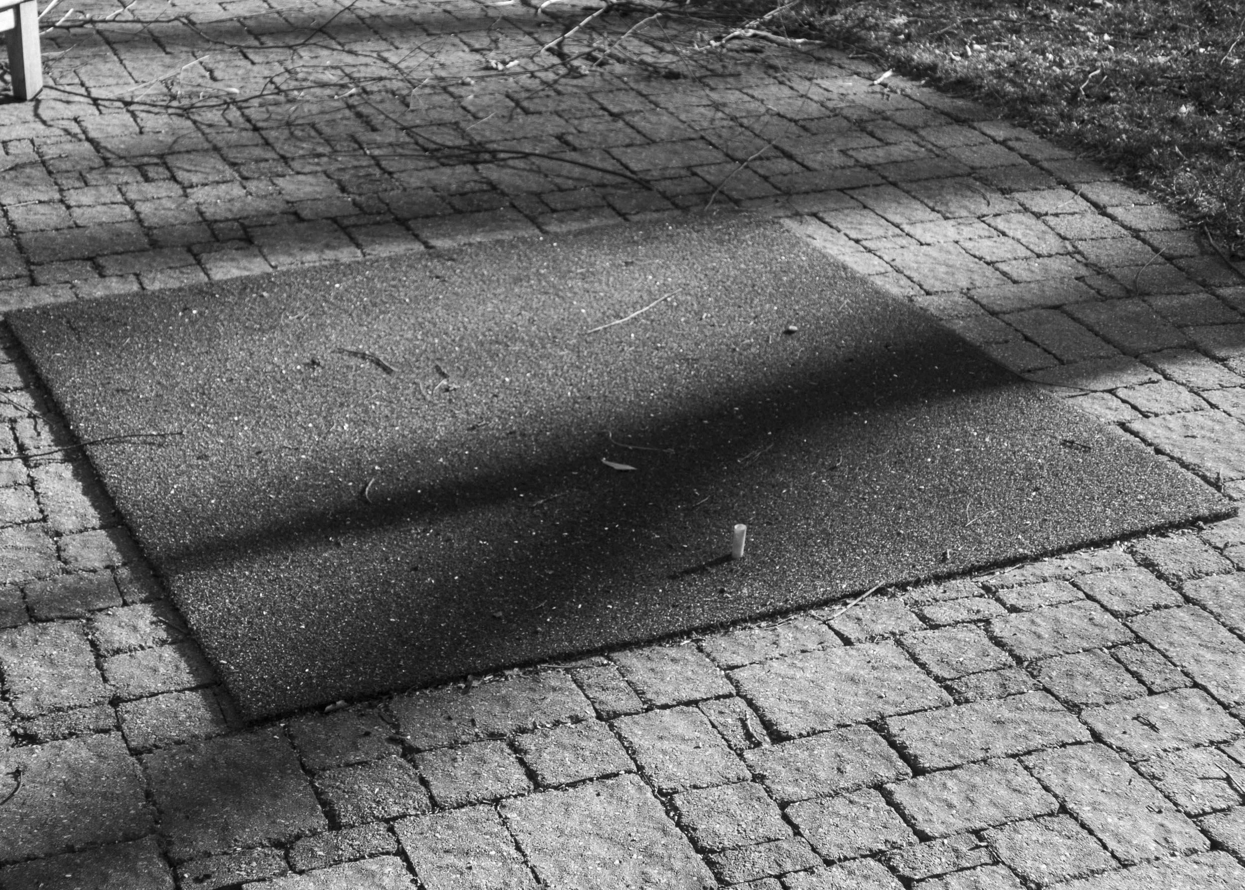 _MG_6788.jpg