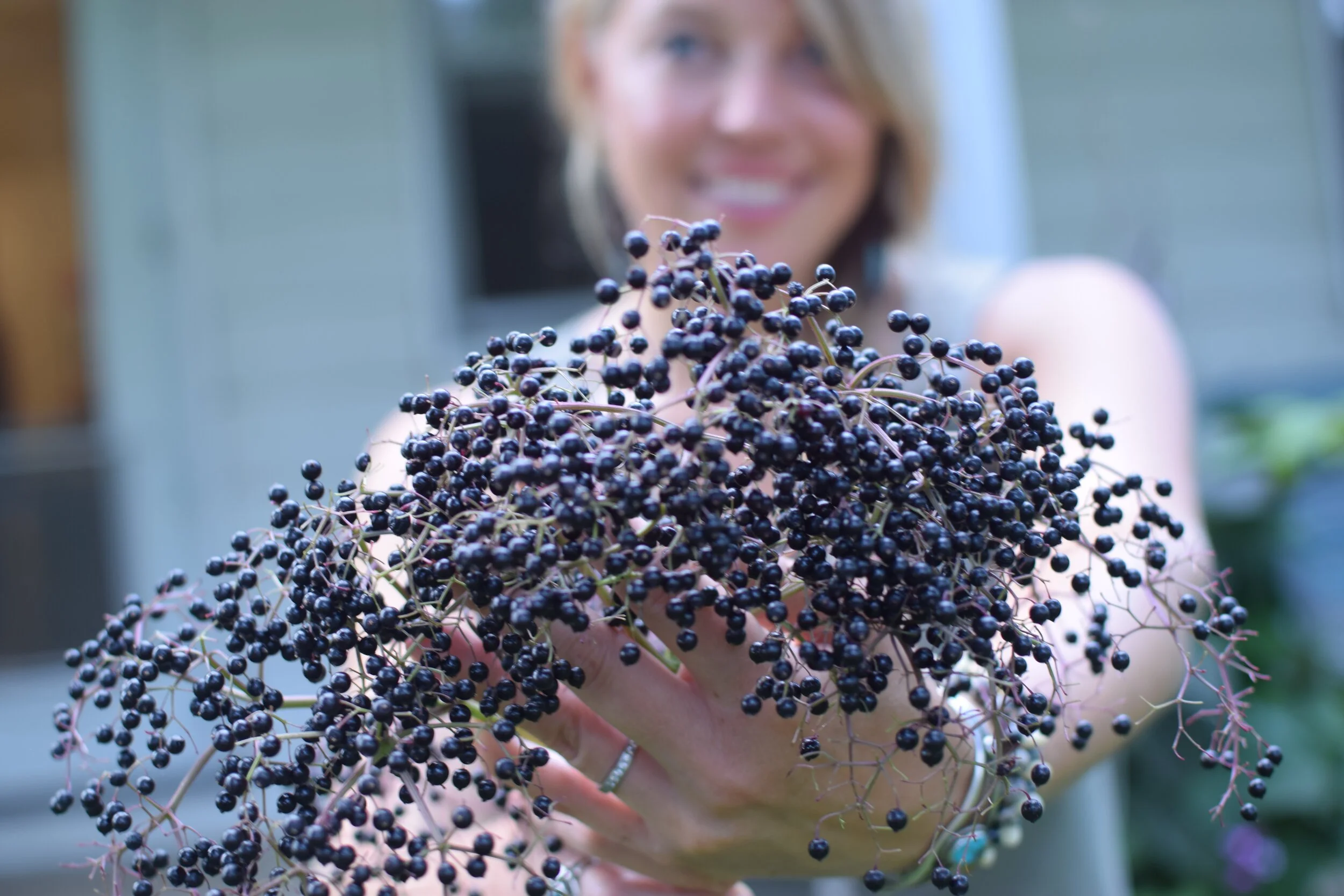 elderberry2.jpg