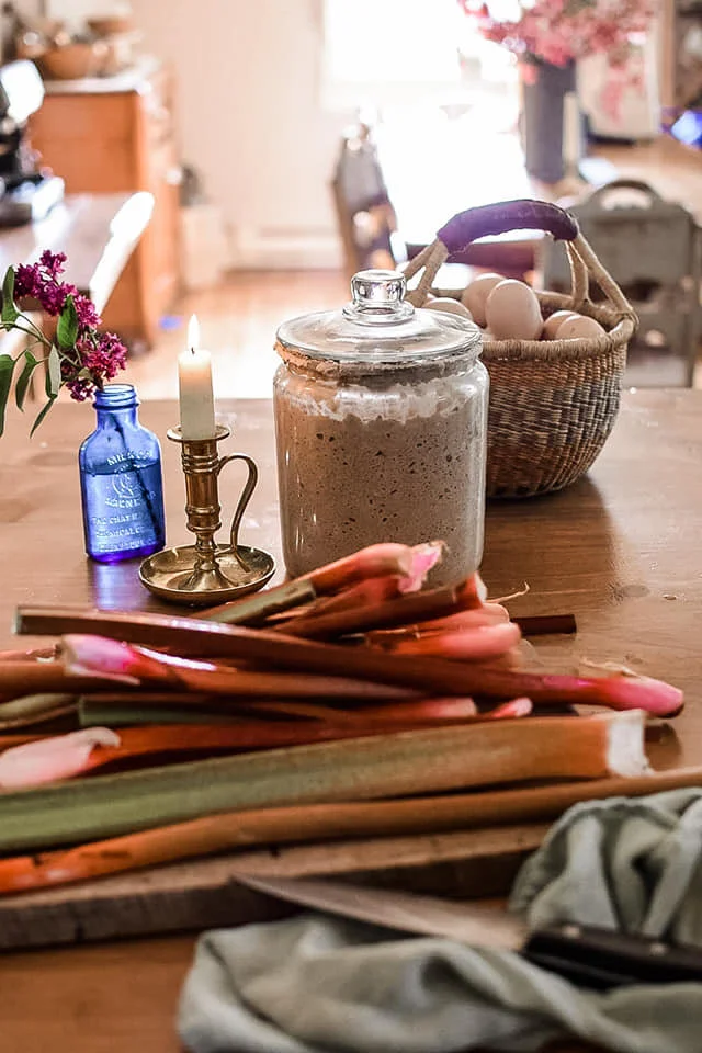 Honey Vanilla Rhubarb Compote — Well Folk Revival