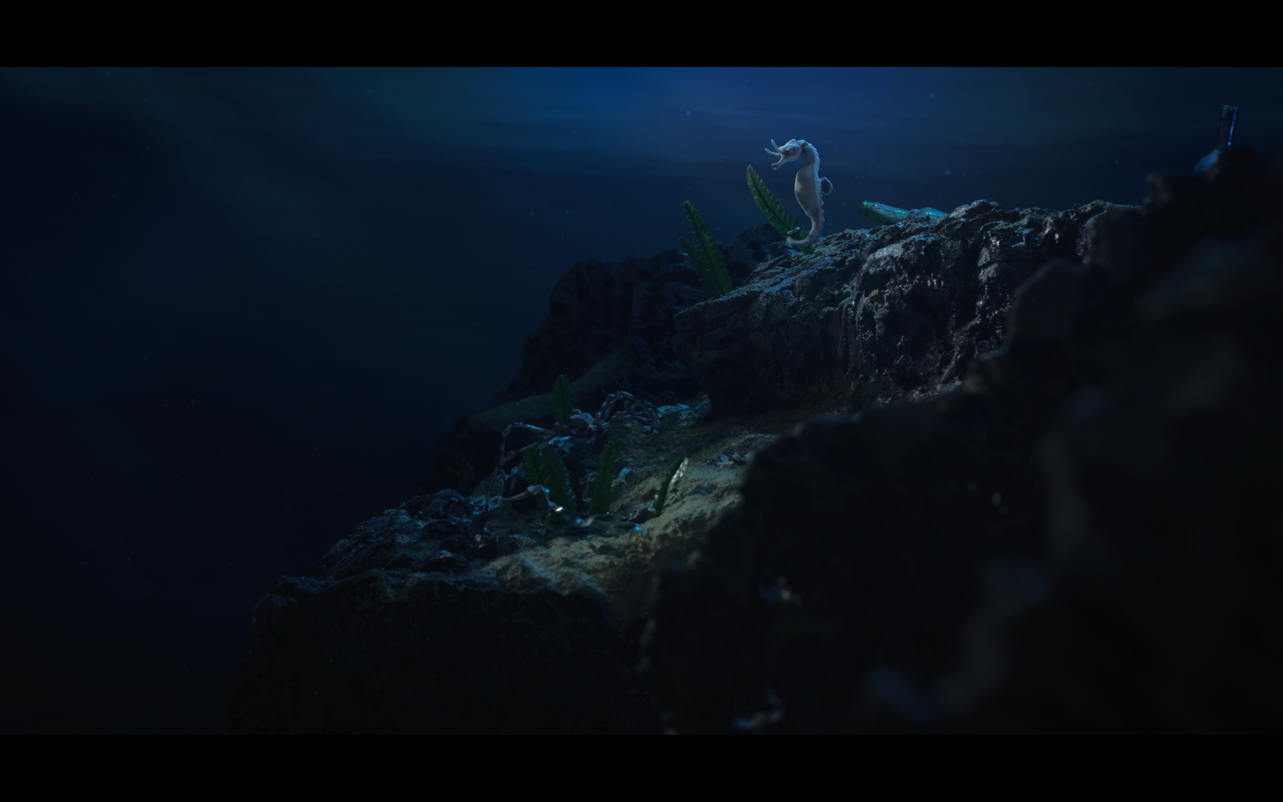 The Lost Seahorse (2021)