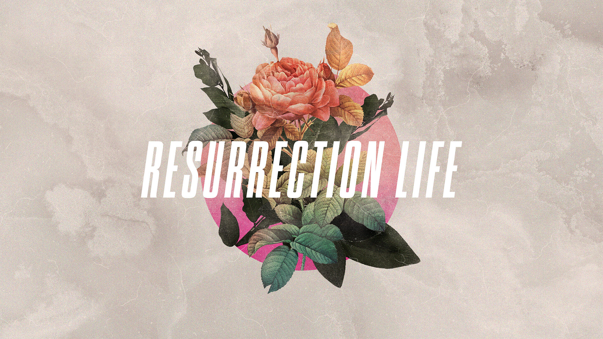 Resurrection Life