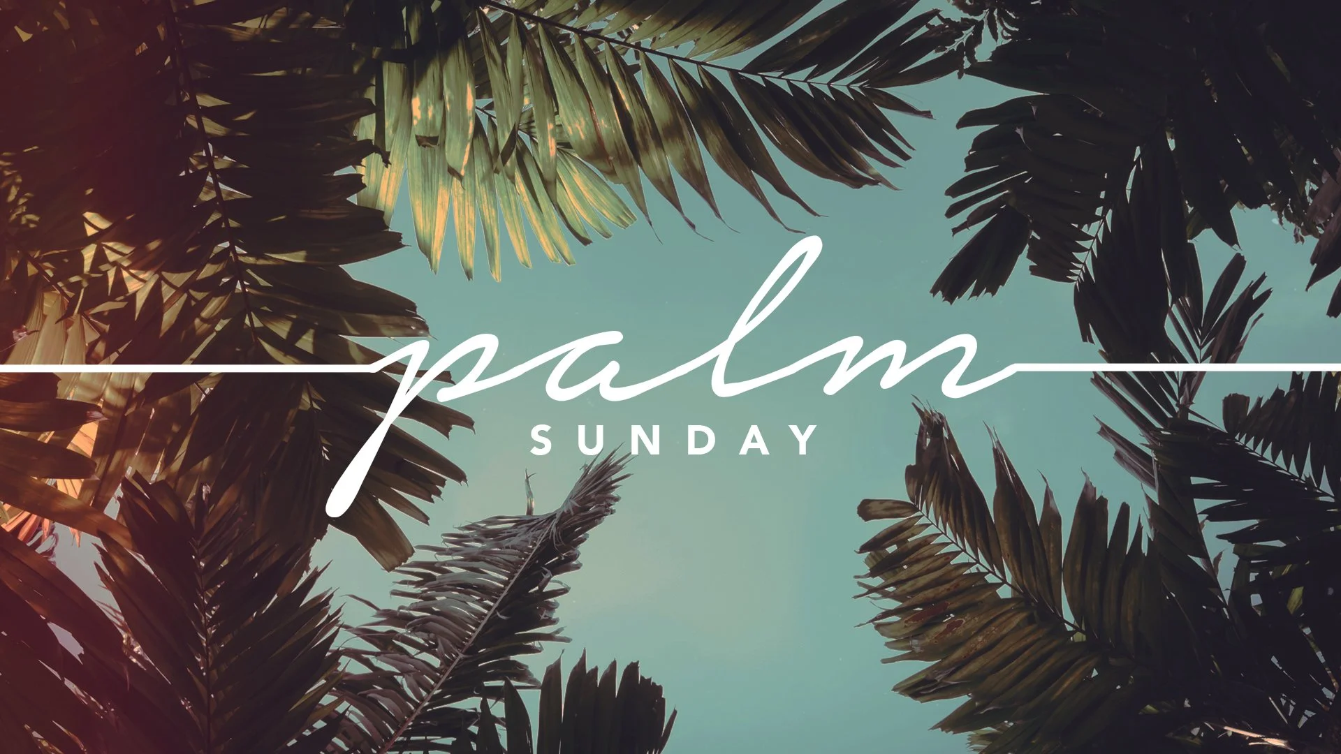 Palm Sunday 2022