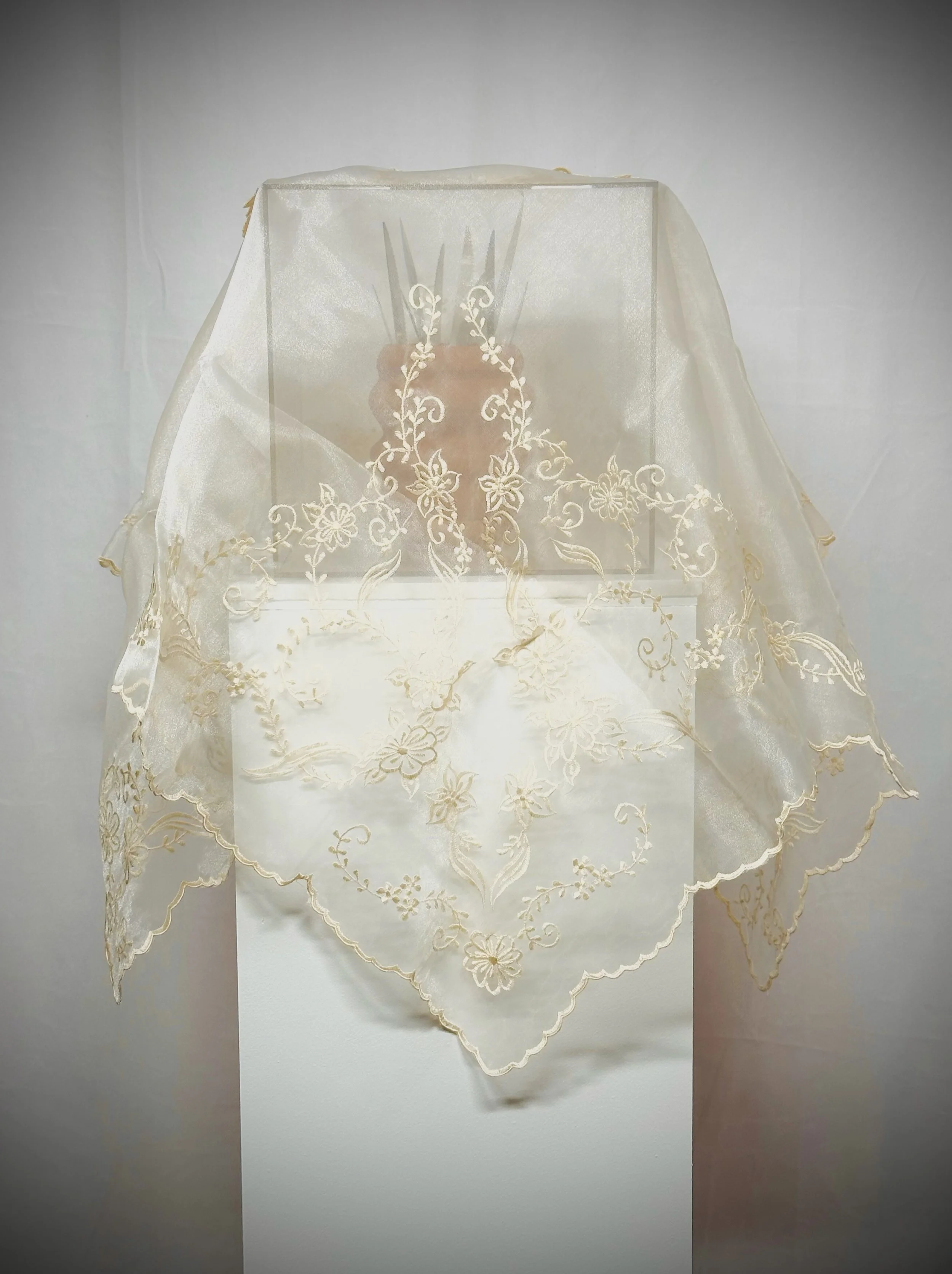 Whitagram-Image 12.jpg