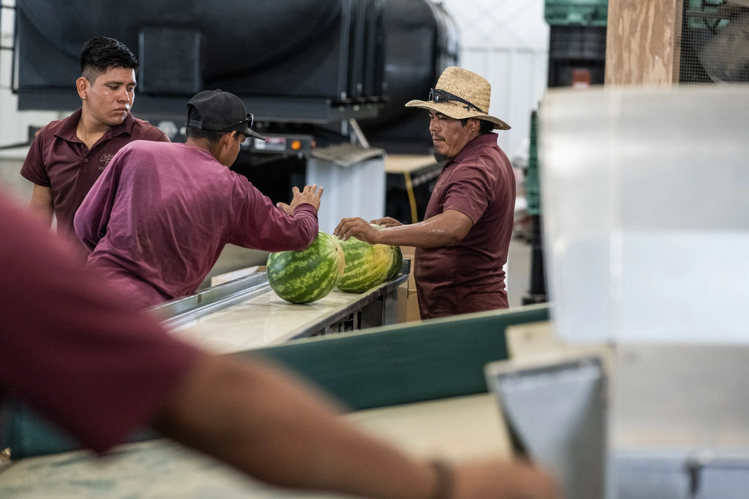 FCMA_2022_SUMMER_WATERMELON-0697.jpg