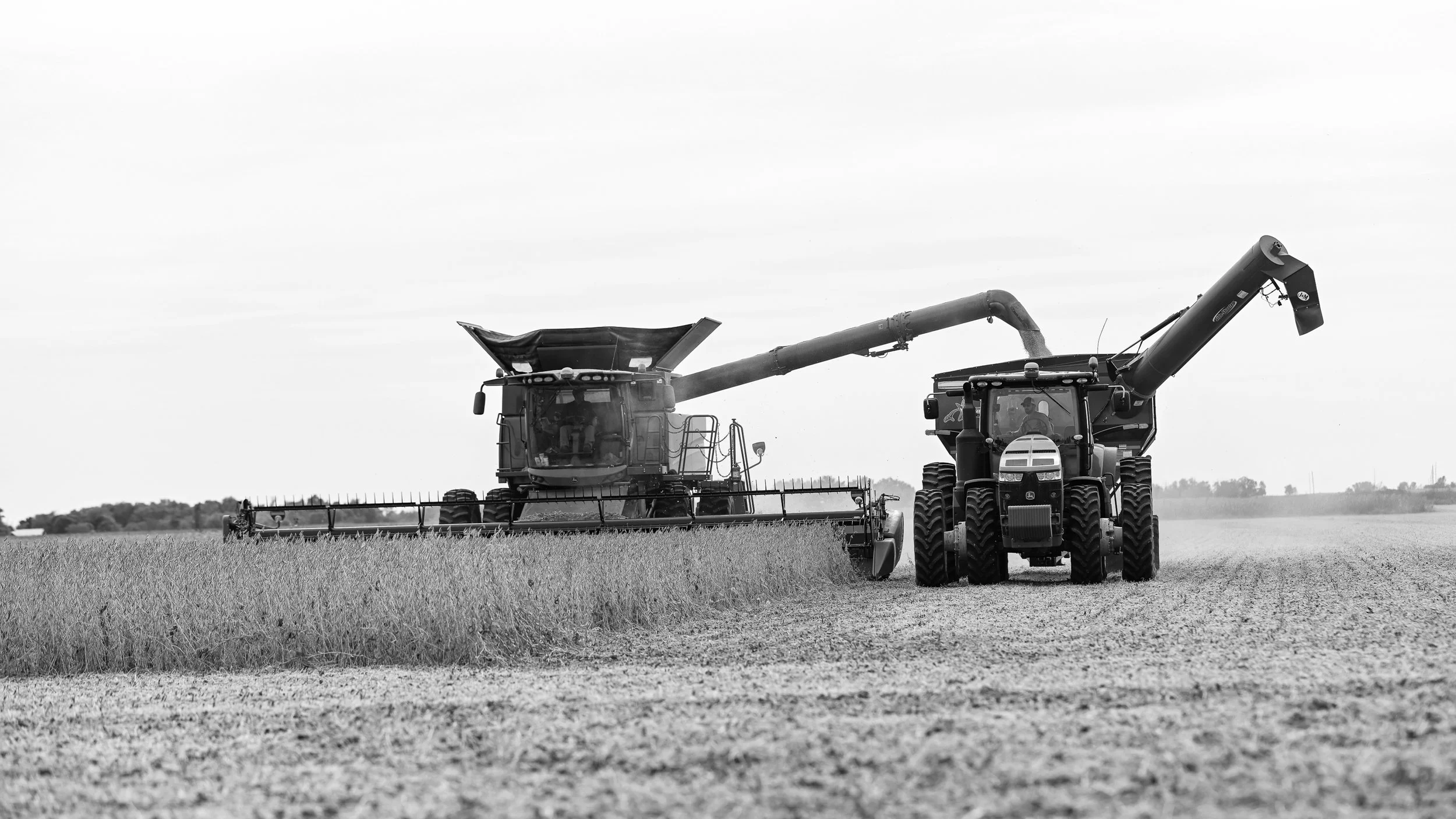 HMCD_WEB_FCMA_0114.jpg