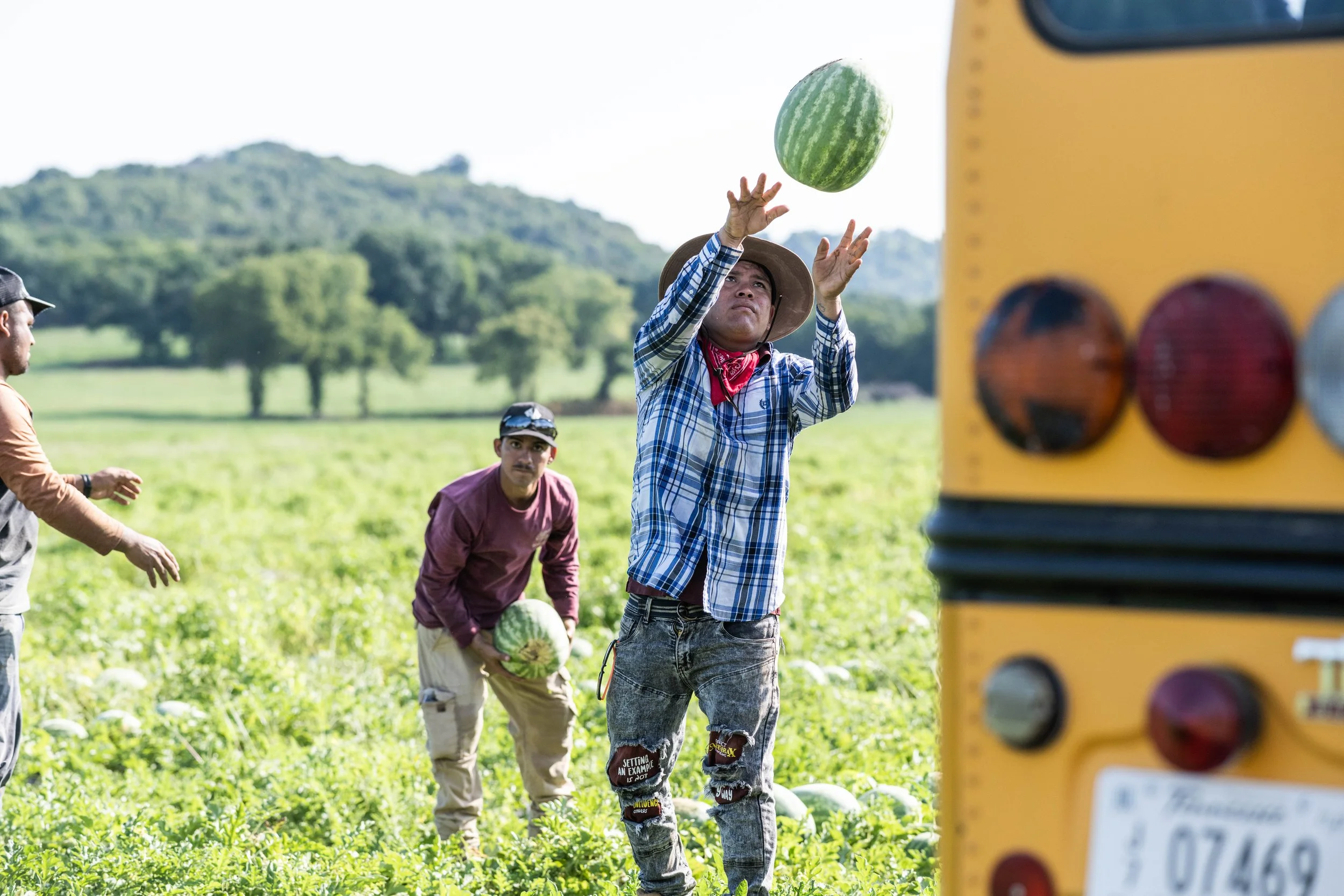 FCMA_2022_SUMMER_WATERMELON-0339.jpg