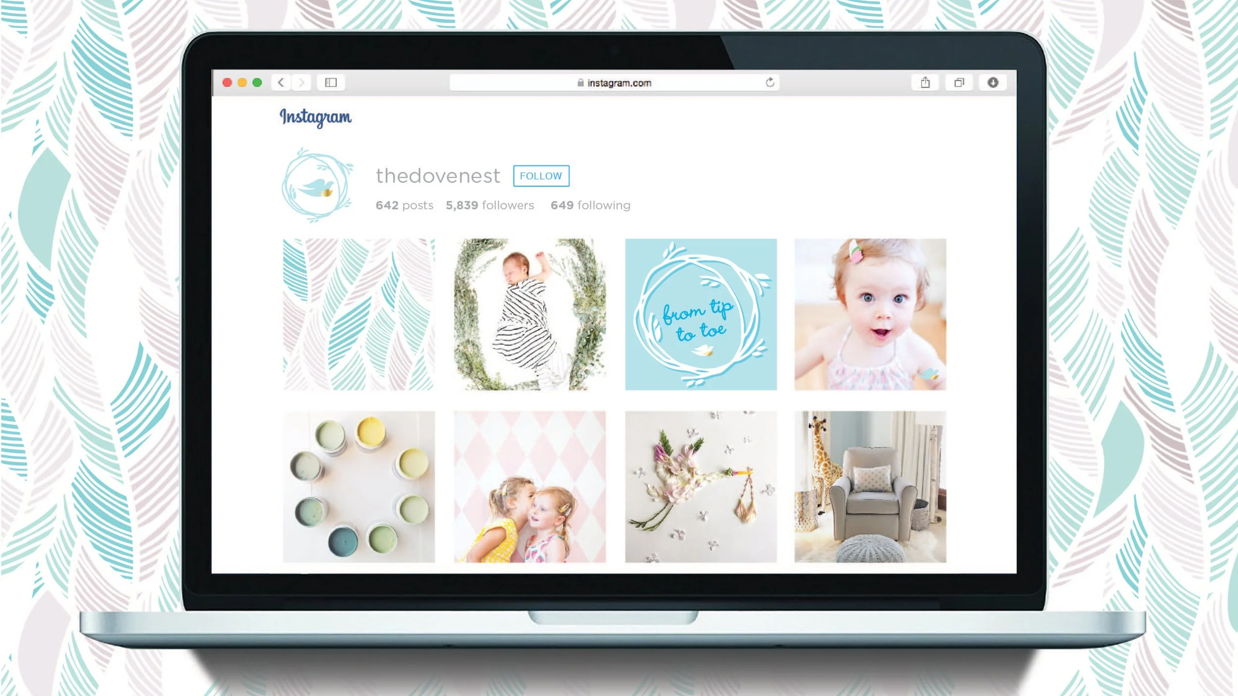 HMCD_WEB_DoveBabyPackagin_012.jpg