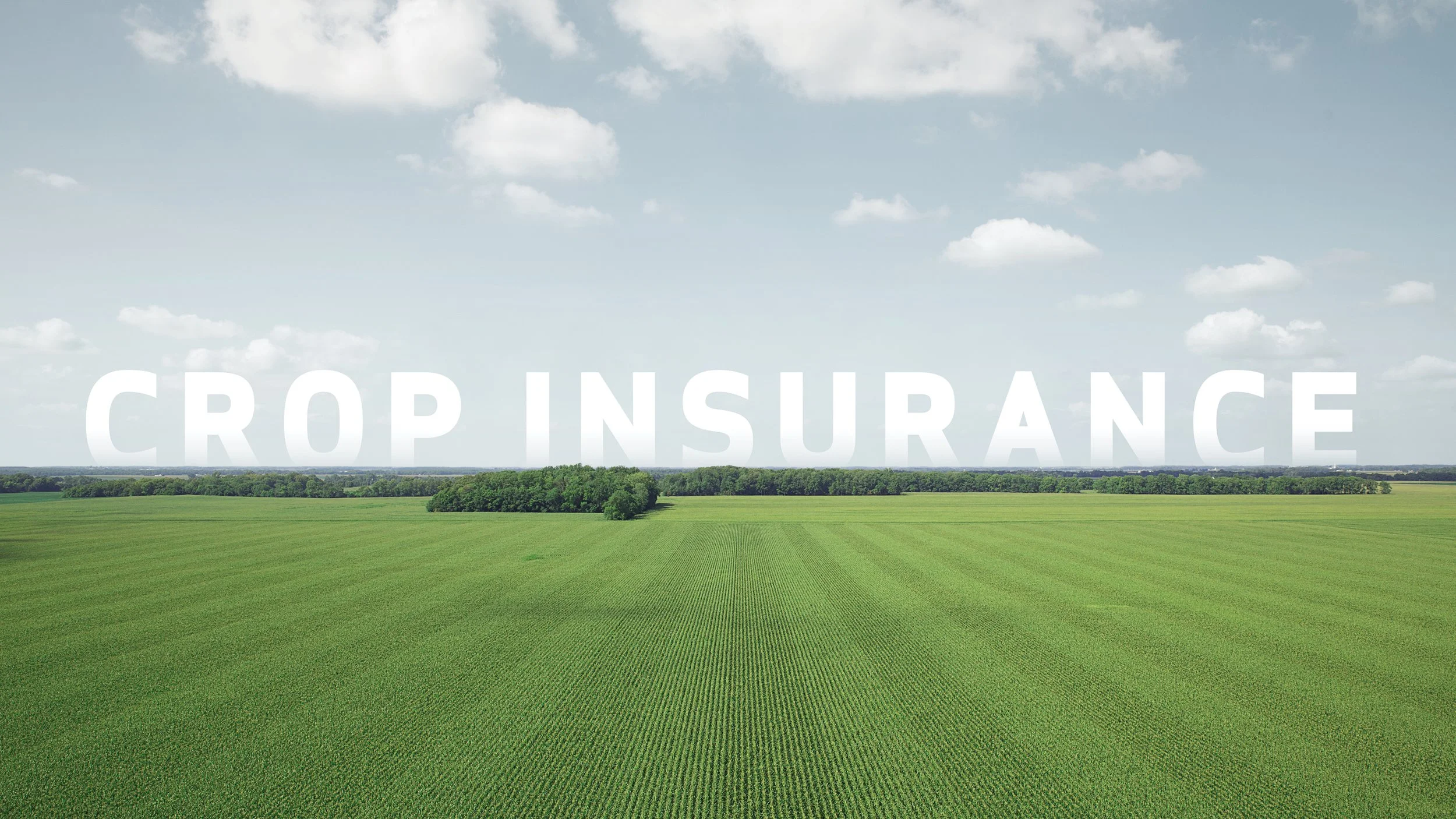 Farm Credit Mid-America Crop Insurance