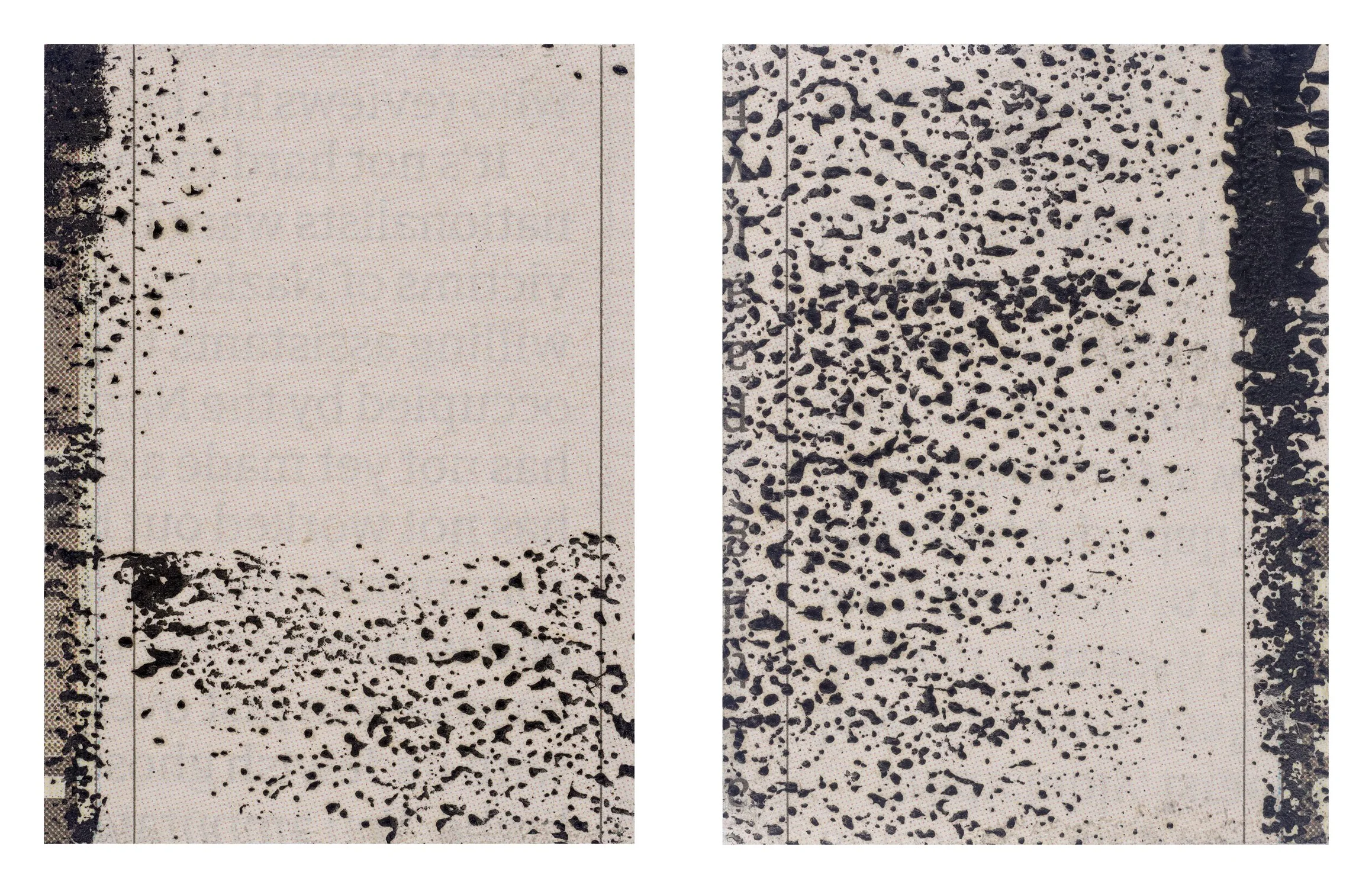 6.-Murmuration-I-&-II-JHibbs-2018-26-40x30cm-each-panel.jpg
