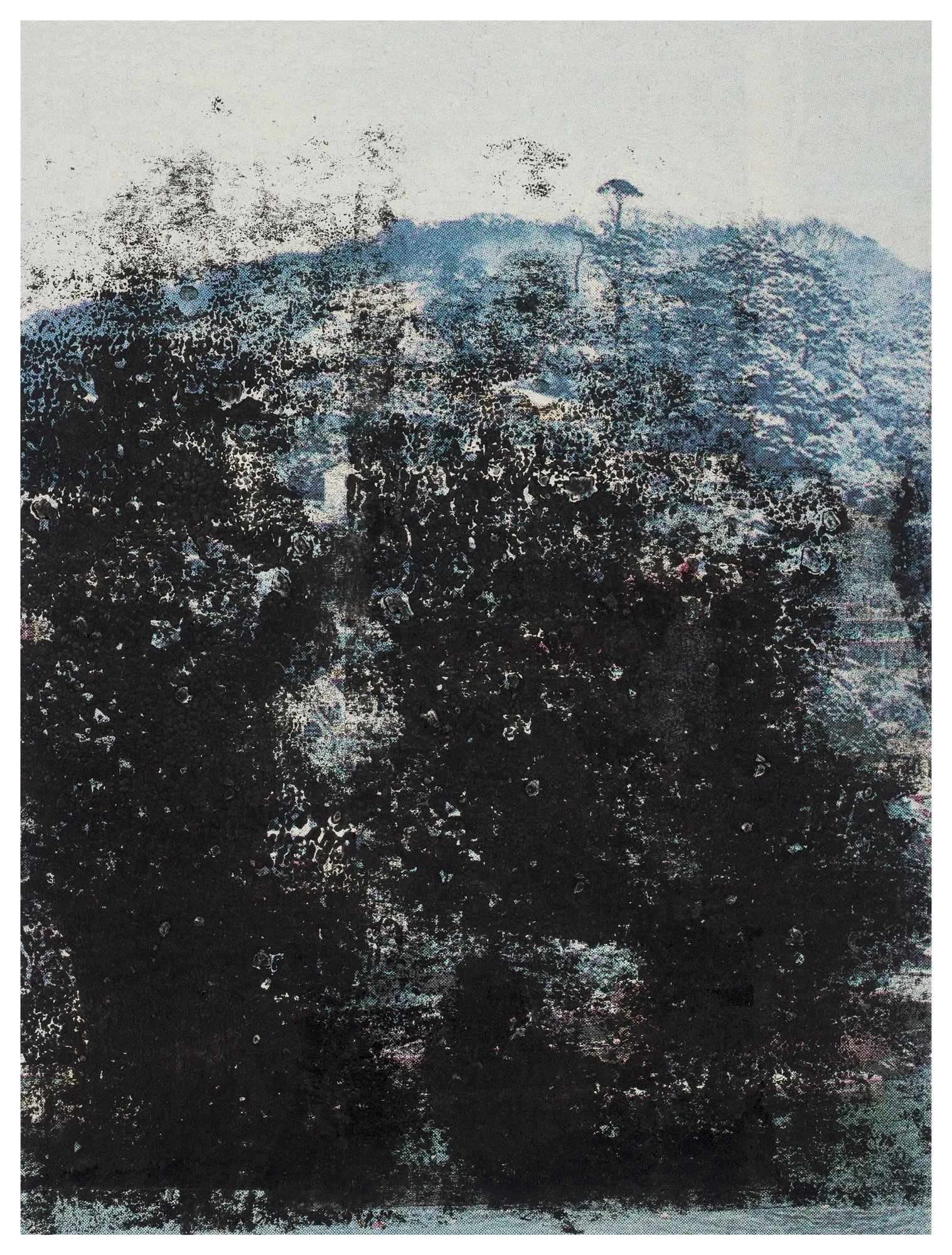 11. Carbon-Bloom-JHibbs-240x180cm.jpg