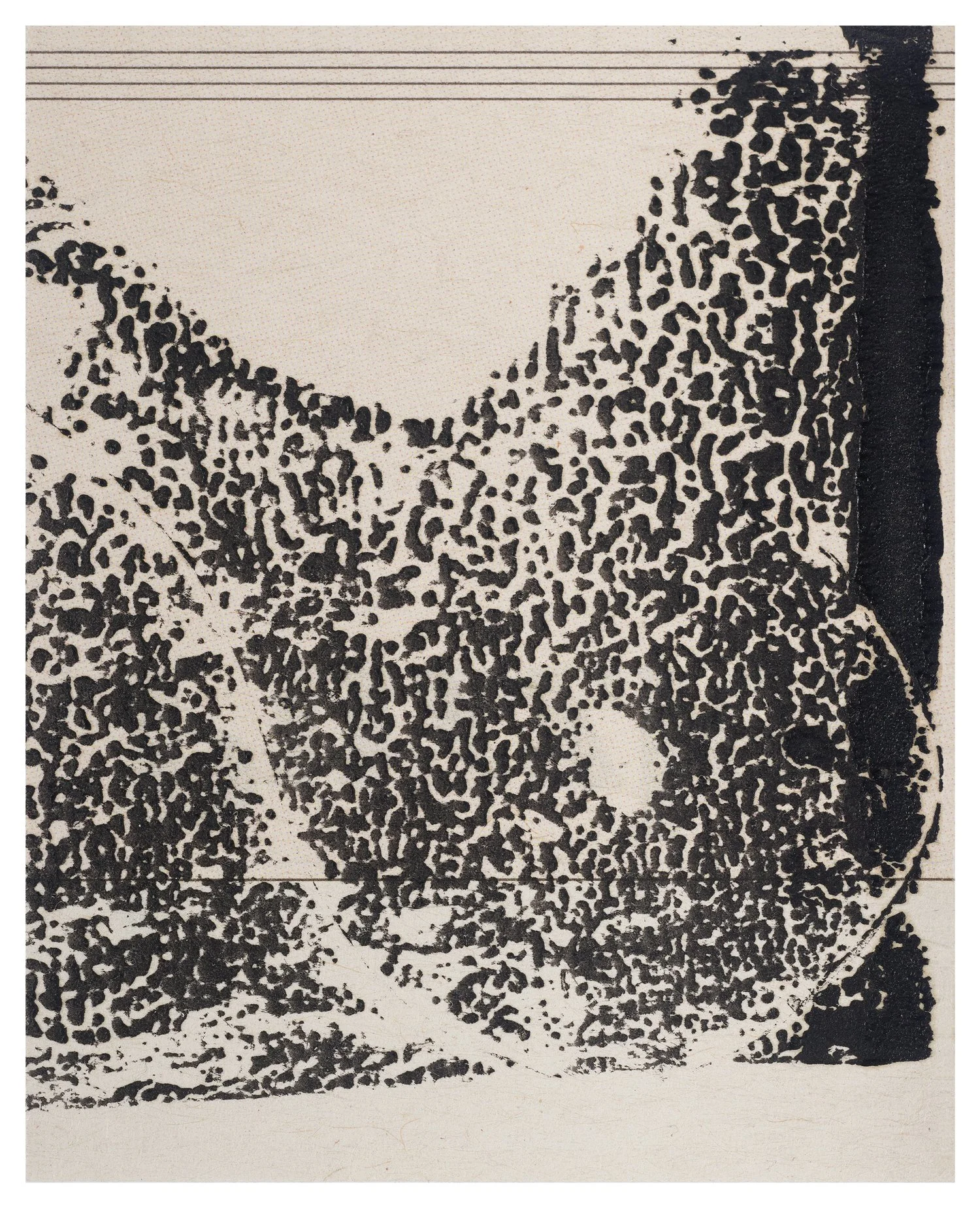 7. Coil-JHibbs-2018_26-45x36cm.jpg