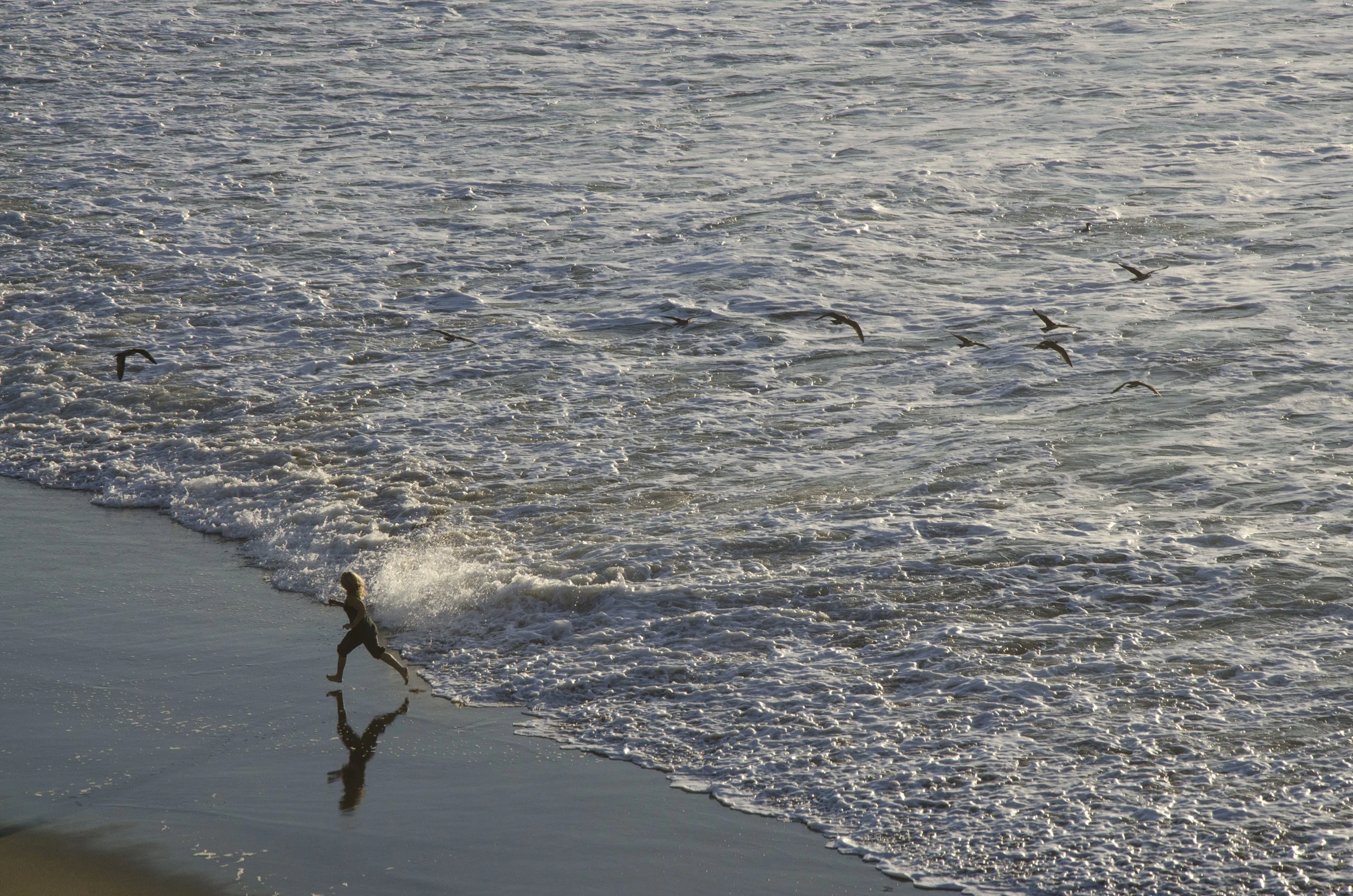 DSC_8931.jpg