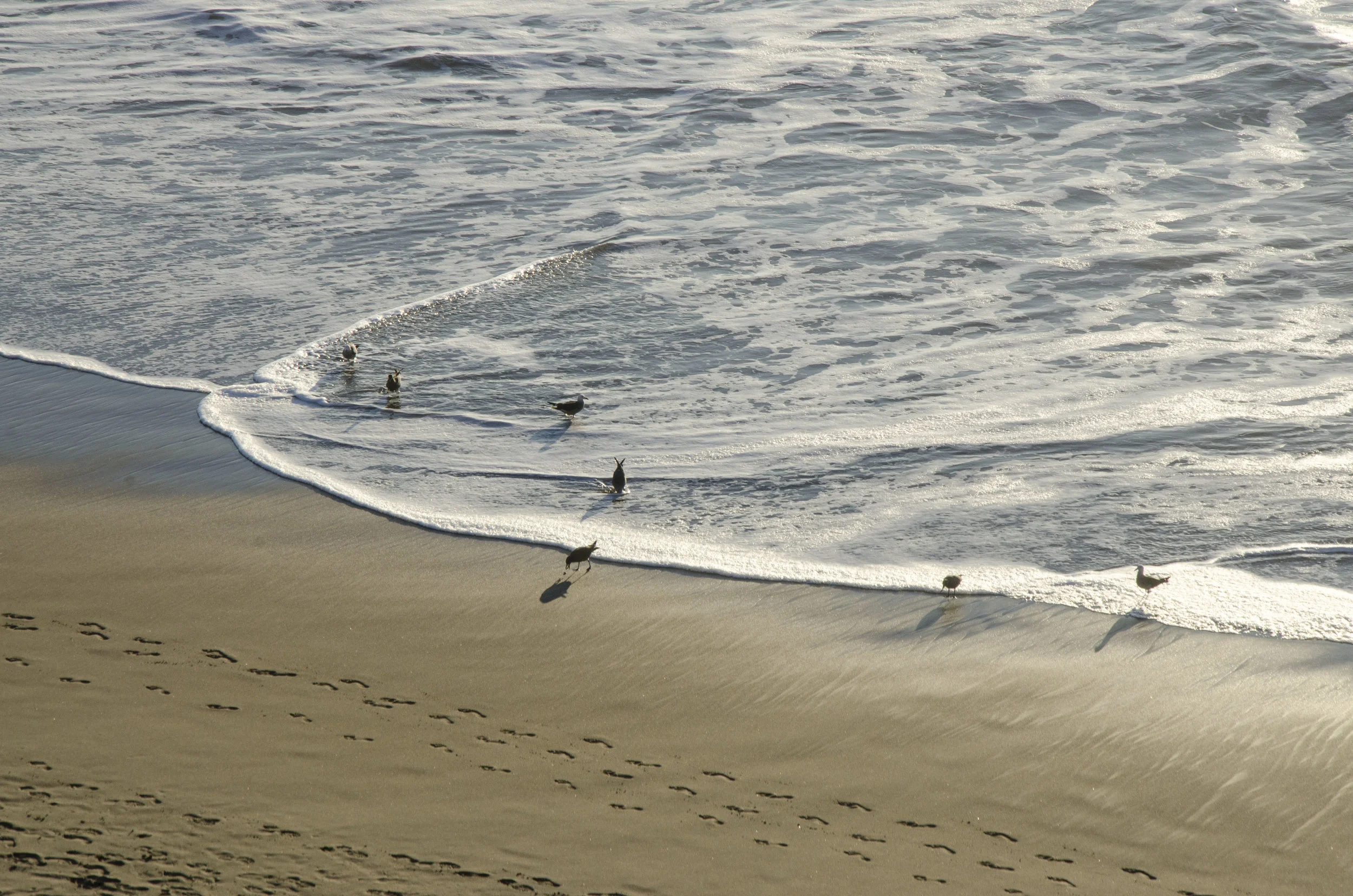 DSC_8918.jpg