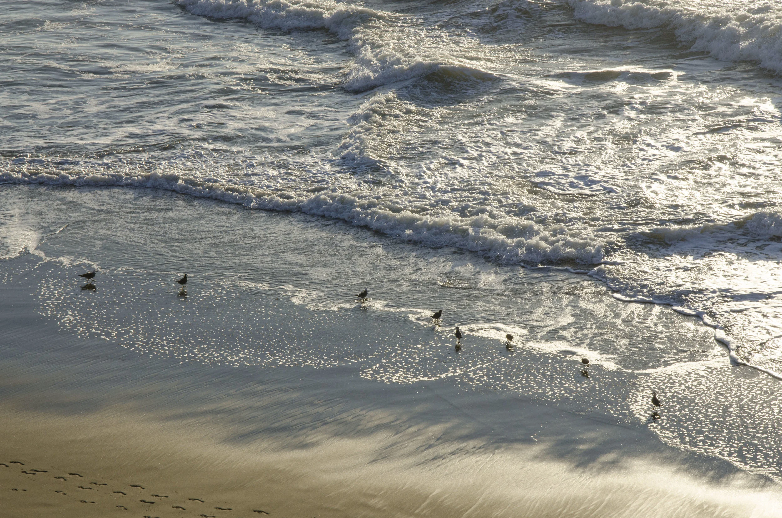DSC_8915.jpg