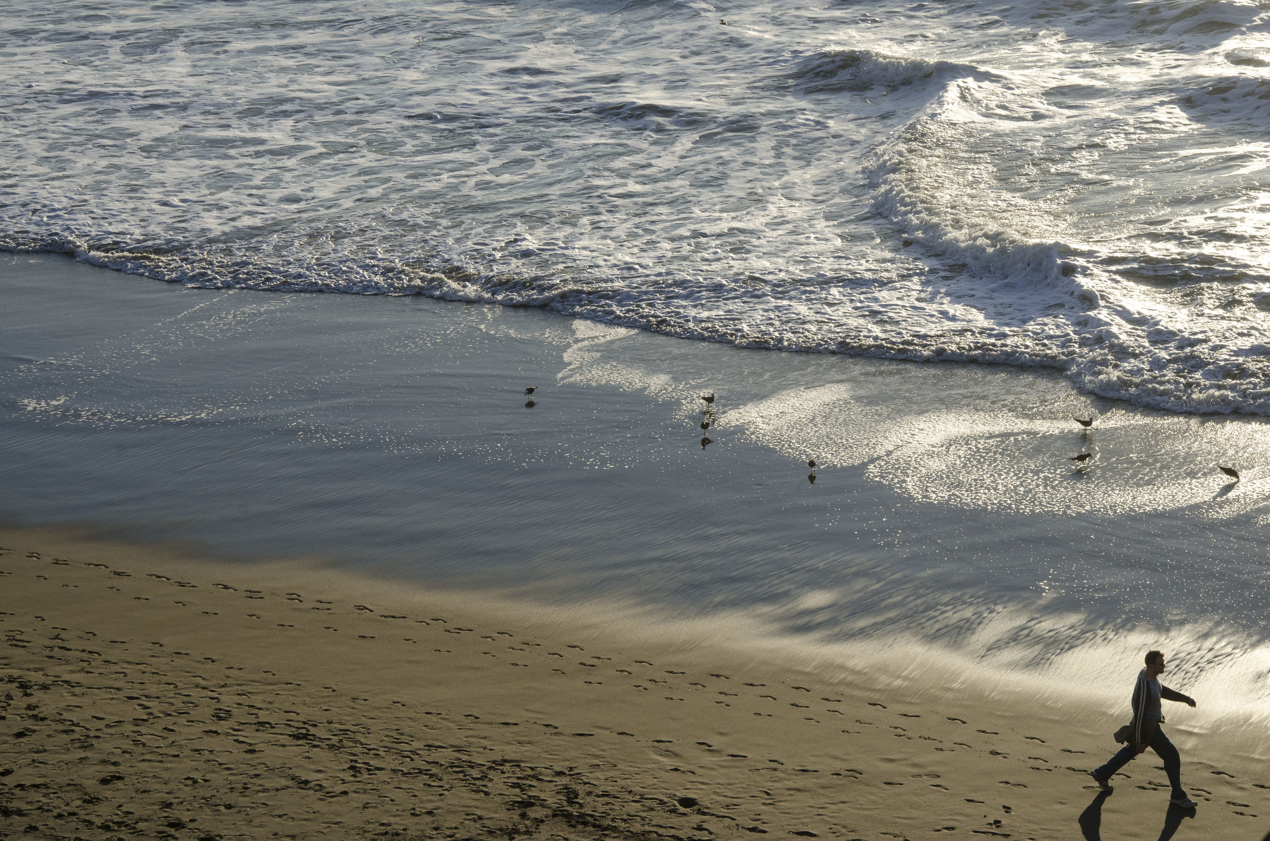DSC_8913.jpg