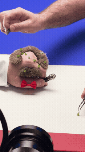 image68.gif