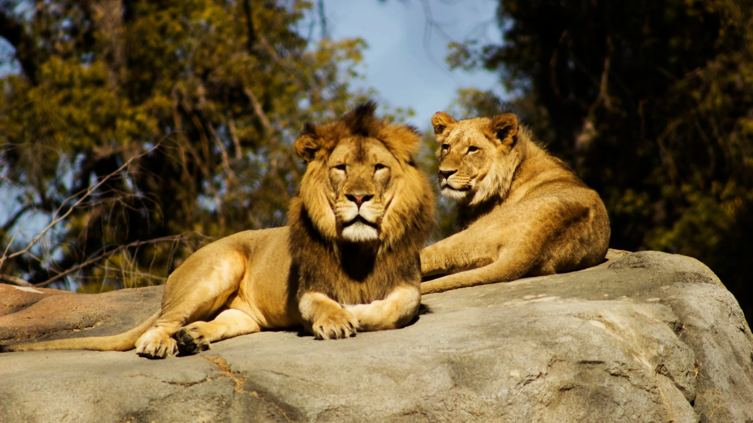  Photo by  Jeremy Avery  