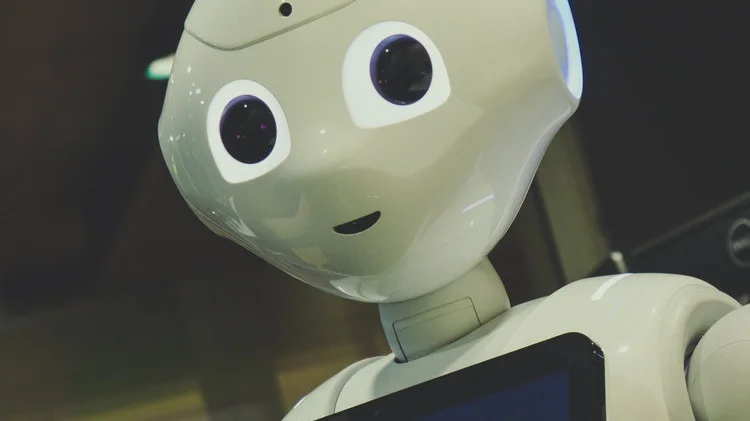  Photo by  Owen Beard  